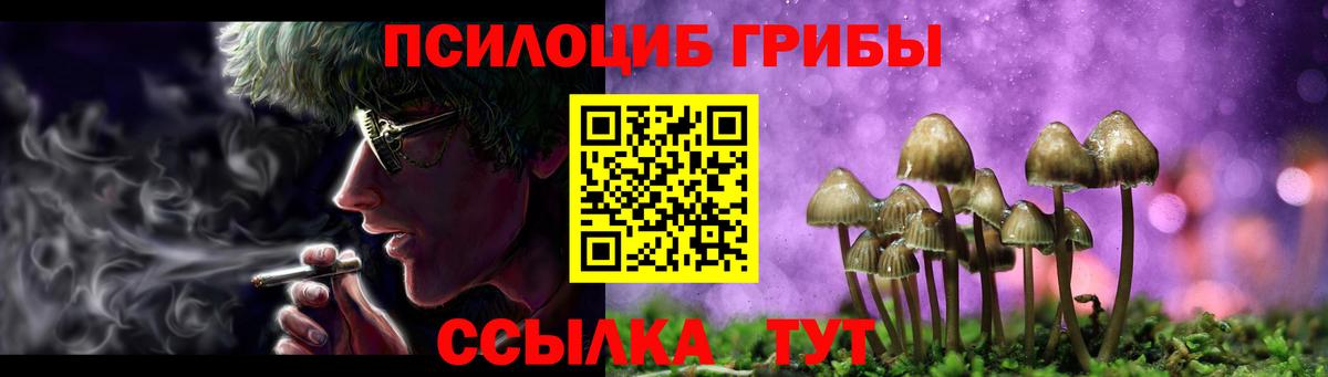 Псилоцибиновые грибы MAGIC MUSHROOMS  Галлюциногенные грибы Magic Shrooms  продажа наркотиков  Людиново  Вход с VPN 