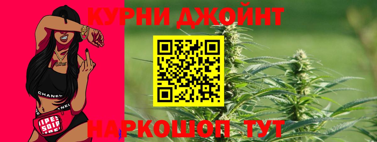 Каннабис планчик  Конопля тримм  Людиново  Бошки Шишки план  Бошки Шишки OG Kush  Вход с VPN 